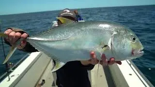 NT light tackle sport fishing onboard Anglers Choice Fishing Safaris