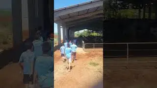 11 de janeiro de 2026