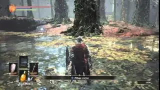 DARK SOULS 3 Fallen Knight Set Location