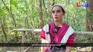 Голоса местных жителей Му Трау, ежедневно сталкивающихся с авиаударами.