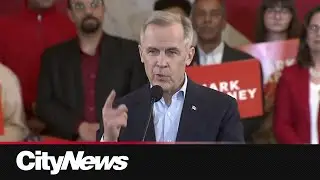 'Like in hockey, we will win': Liberal leadership candidate Mark Carney speaks out on U.S. tariffs