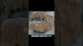 Russian war machines mocked for looking like Mutt Cutts van from Dumb and Dumber