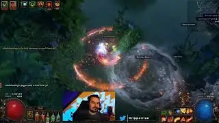 [POE CLIPS] RUTHLESS LVL90 ANY% ANY LEAGUE | NL_KRIPP