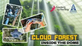 Gardens By the Bay series 1: Cloud Forest || The Avatar Experience - 4K