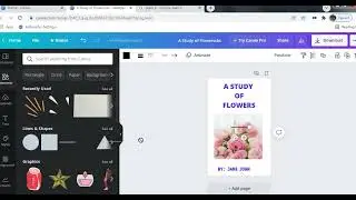 How to Design an eBook Cover With Canva and Create Mock Up