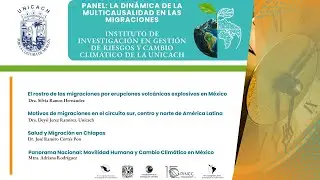Panel: La din&aacute;mica de la multicausalidad en las migraciones, UNICACH