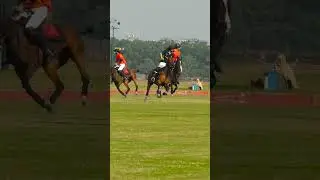 Polo Lahore #horse #sports #polo #pakistan #argentina #usa #uk #duabi #viral #shorts #youtubeshorts