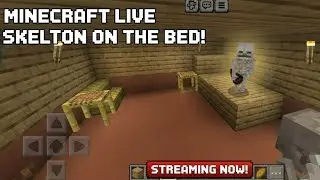 Minecraft live skelton on the BED! STREAM NOW #LIVE #VIRAL #GAMING