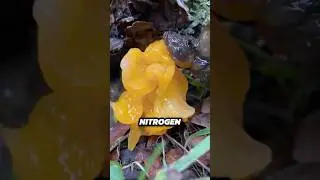 Why Is It so Wet?