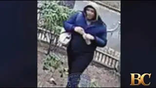 Полиция просит проявить терпение в поисках стрелка, находившегося в Брауновском университете.