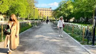 Stockholm Walks: Swedenborgsgatan to Mariatorget from spring to summer.