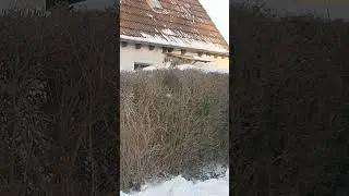 Ein Spatz f&uuml;r euch