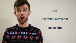#Gaeilge365 - #301 Cat/ Fearchat/ Pisc&iacute;n