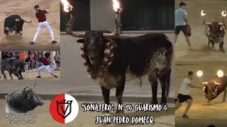 Toro 