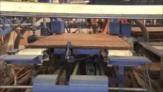 WOODMAC DDSAW