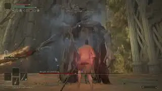 ELDEN RING - Level 1 VS Morgott (No Parry, No Damage)