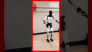Tesla's New AI ROBOT - Optimus Gen 2