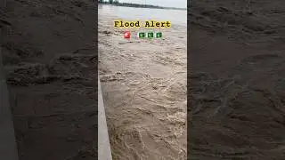 Panjnad Headworks Flood Alert 🚨 #flood#floodinpakistan#flooding#riverflood#pakistanflood#shorts