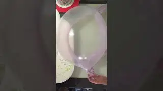 Slime bubbles