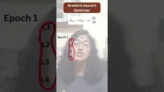 Interviewer: How many times weight updates happens in gradient descent for 4 data points? #tamil
