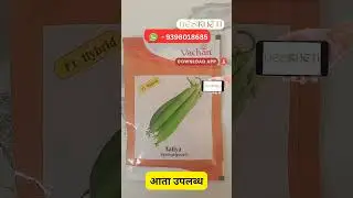 Aaliya Sponge Gourd Seeds | Desikheti - Buy Seeds Online | Contact - 9398018685 #marathishorts