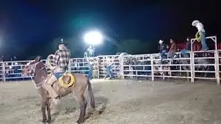 Alexander Colunga vs rey misterio San Isidro laborcilla santa Mar&iacute;a del rio 26 Dic 2025
