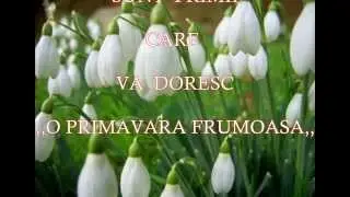 1 MARTIE 2014  MARTISOR MUZICAL