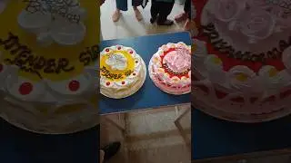 Twin cakes