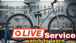 track bike service hybrid