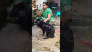 sabun daheni saraf dehani #like #share #please_subscribe_my_channel