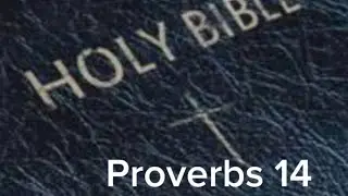 Proverbs 14 (NIV) The Audio Bible