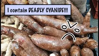 how to worldbuild staple crops [culinary worldbuilding]