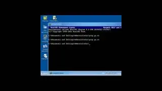 ReactOS 0.5 72767 Ping error