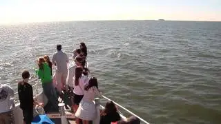 Welcome to Ship Island