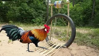 The First Unique Wild Chicken Trap Make From Tire Motorcycle & Wood