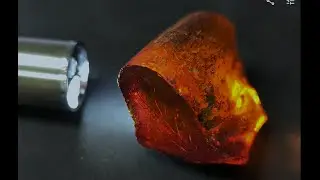 100% Natural Red Amber Rough , from Dominican Republic，來自多明尼加 嘅紅琥珀，完全天然