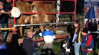 Every wondered what a milk quota party looks like?