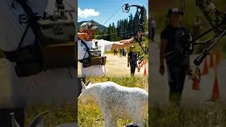 Challenging Josh Bowmar to a game of elk! #archery #bowhunting #3darchery #archerytrickshot