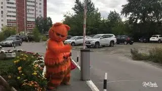 Экспресс поздравление Гарфилд l Red Panda Event Agency г. Екатеринбург