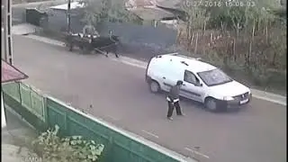 Romania is just a badly programmed video game