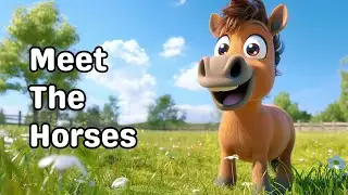Meet the Horses! Fun animal adventure and learning for kids