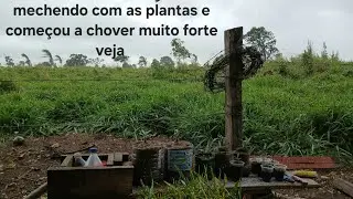 Dia trabalhando na roça mostrando um pouco de tudo pra vocês e começou a chover muito forte vem ver 