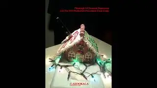 Pittsburgh VS Seasonal Depression 22 Lakookala 