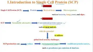 Lecture#8 | Single Cell Protein (SCP) | Complete Chapter explained in Urdu| Biotechnology