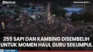 Estimasi 255 Ekor Hewan Ternak Akan Disembelih Untuk Momen Haul Guru Sekumpul 2025