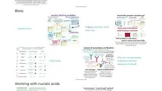 Biochemistry techniques - overview of some biochem, molecular biology, & structural biology methods