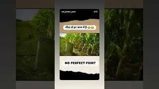 #MD perfect point #funny #comedymemes #comedy 😂🤣😂🤣