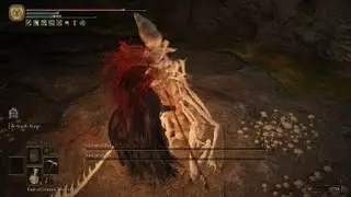 ELDEN RING&trade; - Kindred of Rot Duo Boss Fight (Hero, Winged Scythe)
