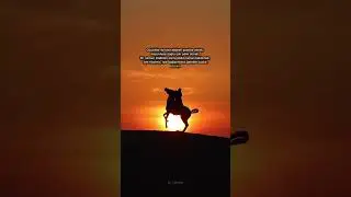 &ldquo;Zorlukta da kolaylıkta da Allah&rsquo;a bağlı kalmak&hellip; İşte rib&acirc;t.&rdquo; #zorluk #hadis #dua #iman #shorts