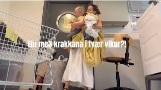 EIN með börnin í tvær vikur - voru þetta mistök??